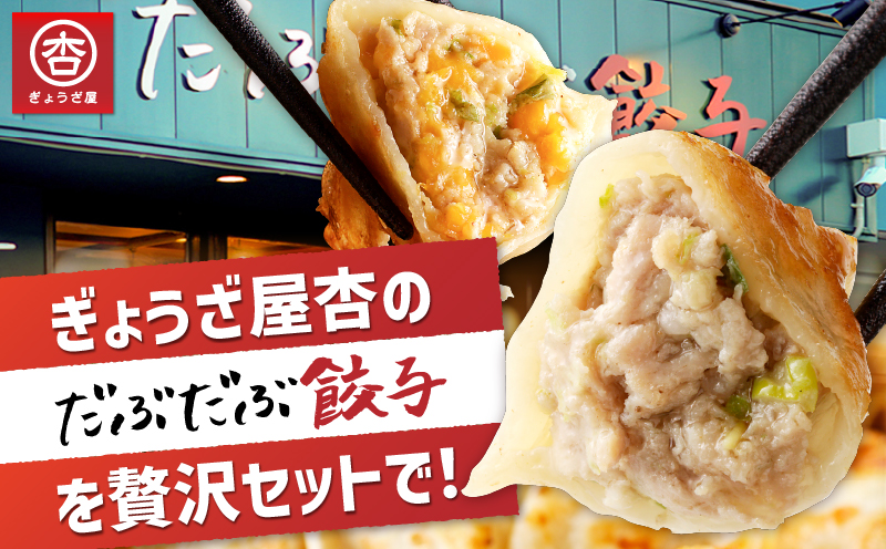 だぶだぶの肉汁をすすりたくなる餃子と餃子ちぃーずセット　T060-005