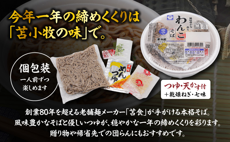 年越しそばセット（わんこそば×5人前）　T064-001