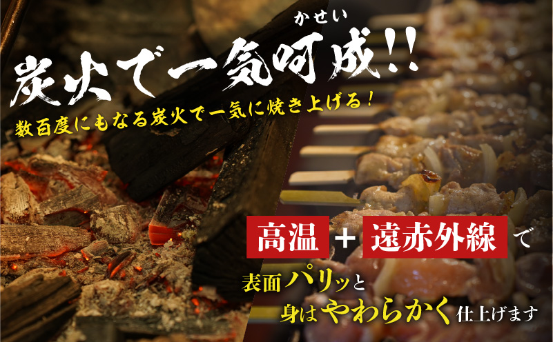 老舗やきとり鳥市の室蘭 焼き鳥 5種セット（秘伝タレ） T065-002