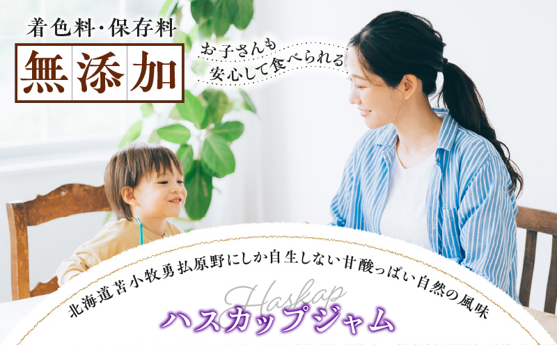 ニドムオリジナル　手作りハスカップジャム　T067-007