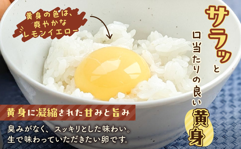 【全3回定期便】平飼いたまご　T074-T01-01