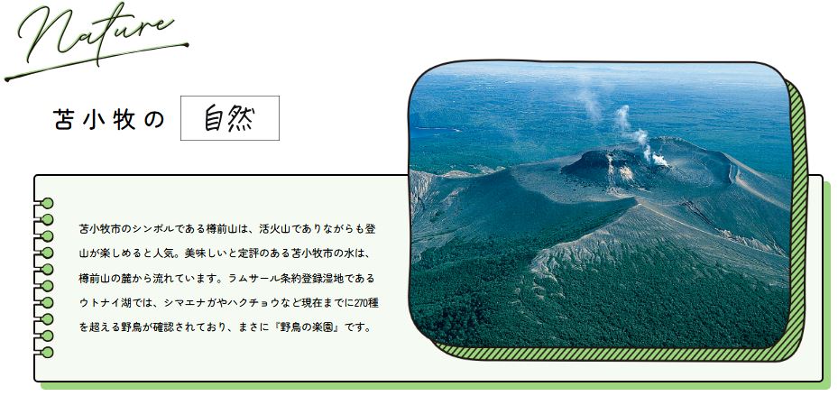 北海道苫小牧市ANAトラベラーズダイナミックパッケージ割引クーポン3,000点分