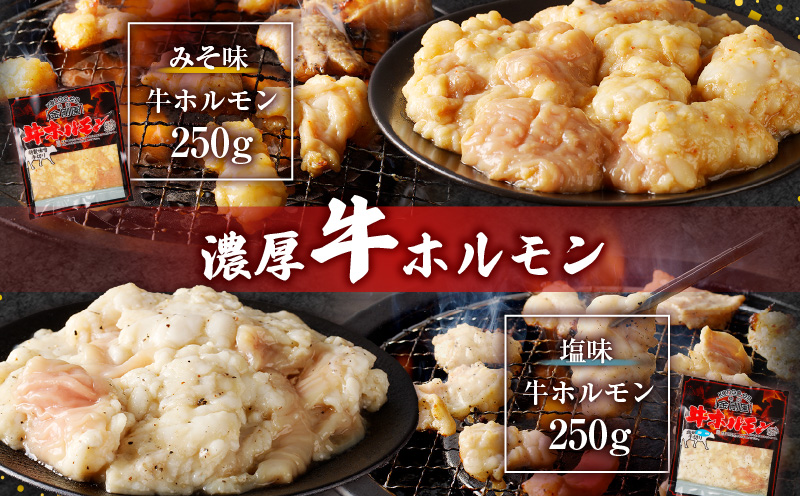 金剛園 特製ホルモンセット 全4種 4パック 合計940g　T054-001