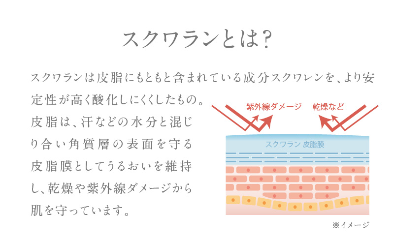 HABA スクワランII（60ml）　T003-002