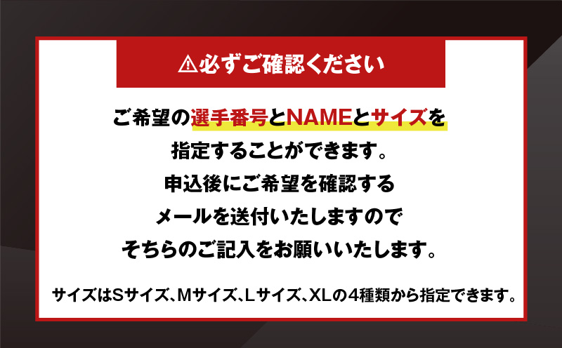 2025-2026シーズン オーセンティックユニフォーム・ホーム　T018-004