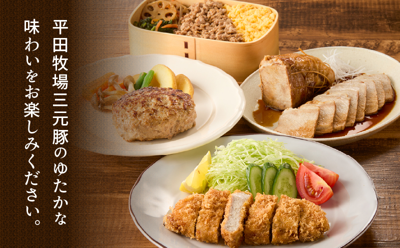 日本の米育ち平田牧場 三元豚ロースブロック（600g）・挽肉（300g）計900g　T036-009