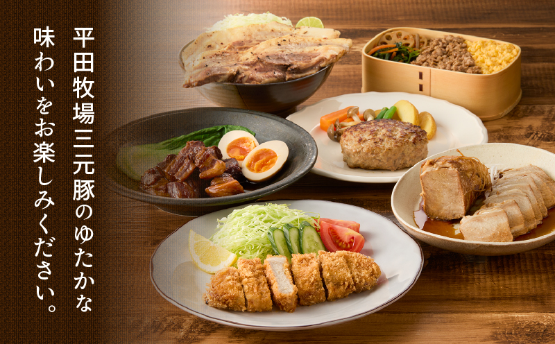 日本の米育ち平田牧場 三元豚ロースブロック（600g）・バラブロック（600g）・挽肉（300g）計1.5kg　T036-010