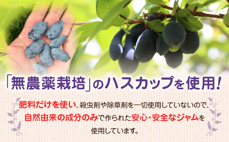 【よいとまけ 10個】ひと切れ 個包装　T044-001