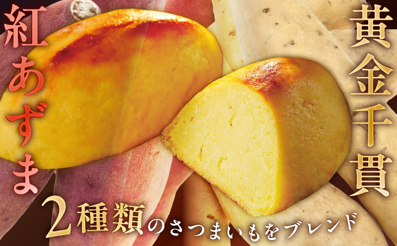 黄金スイートポテト 15個　T047-002