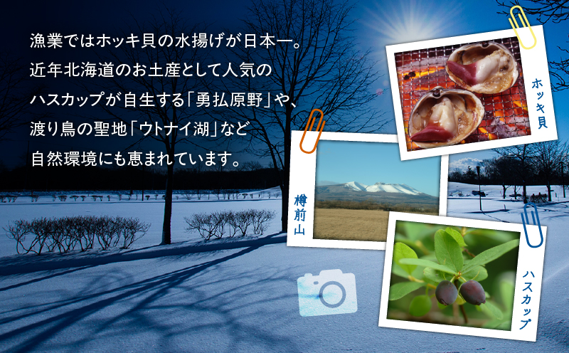 北海道苫小牧市応援寄附金（返礼品なし）5,000円　T000-001-02