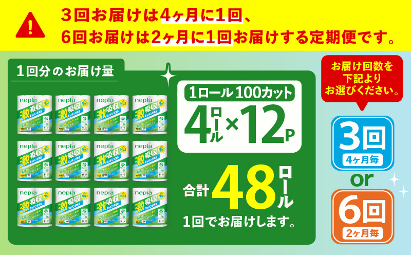 【全3回定期便】紙のまち苫小牧 王子ネピア 激吸収 キッチンタオル 100（48ロール×3回）　T001-T01