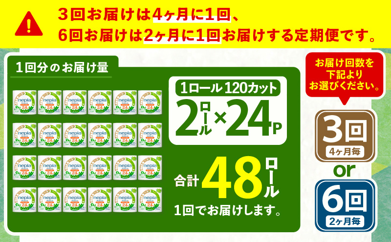 【全6回定期便】紙のまち苫小牧 ネピeco キッチンタオル 2.4倍巻 2ロール 24パック 紙包装（48ロール×6回）　T001-T10