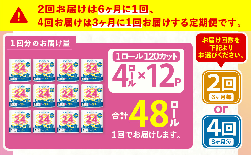 【全2回定期便】紙のまち苫小牧 ネピア たっぷり使える2.4倍巻 キッチンタオル（48ロール×2回）　T001-T31
