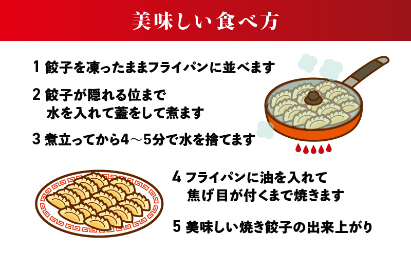 【全6回定期便（隔月）】宝永餃子10個入セット（宝永餃子10個入×4袋）合計1.0kg　T004-T03-03