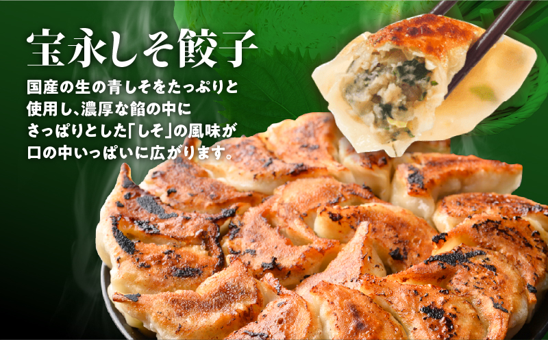 【全6回定期便（隔月）】ぎょうざの宝永 しそ餃子セット（宝永餃子 15個入×2袋＆しそ餃子 15個入×2袋）合計1.5kg　T004-T04-03