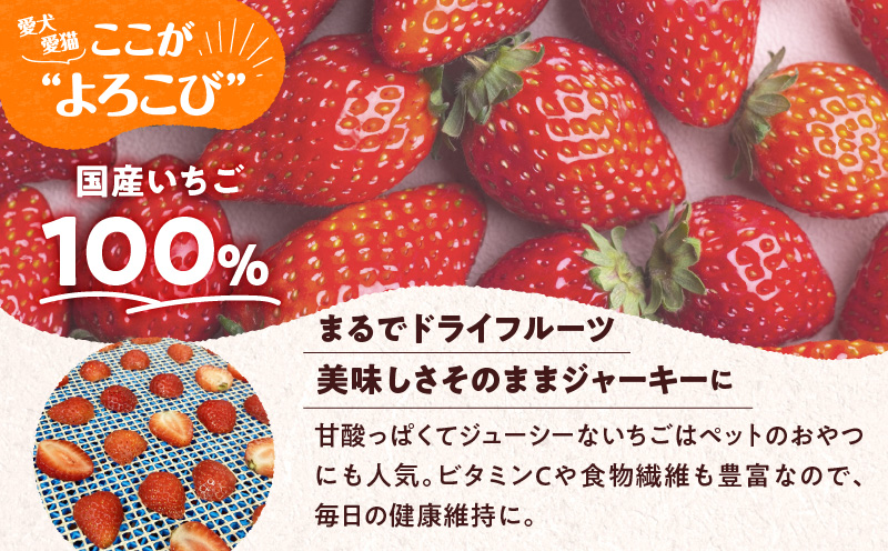 アスランエゾベニソン いちごジャーキー 10g×5袋入り 犬用おやつ 猫用おやつ 無添加 手作り　T012-020