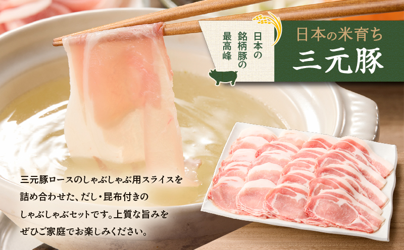 【全3回 毎月定期便】日本の米育ち平田牧場 三元豚ロースしゃぶしゃぶ　T036-T01-01