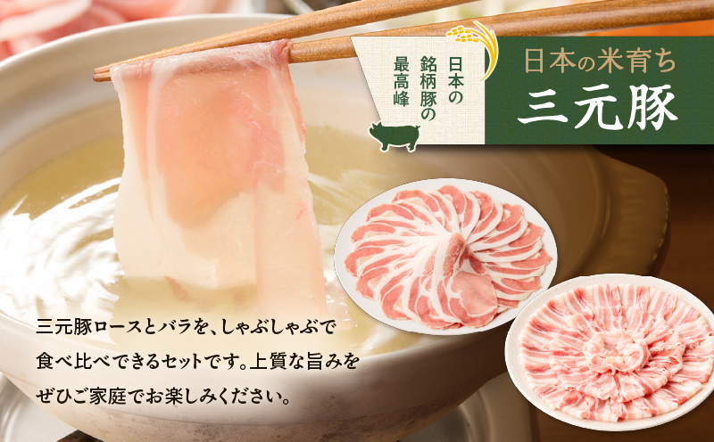 【全3回 毎月定期便】日本の米育ち平田牧場 三元豚ロース 250g・バラしゃぶしゃぶロース 250g　T036-T02-01