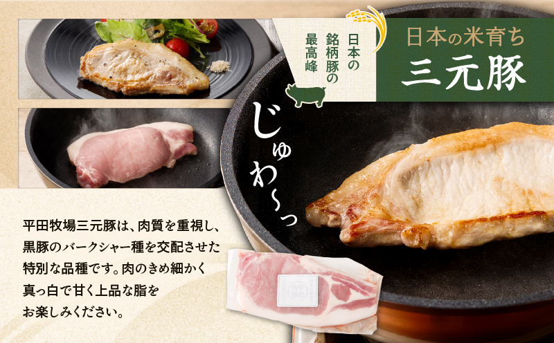 【全12回 毎月定期便】日本の米育ち平田牧場 三元豚ロースステーキ 8枚　T036-T04-03