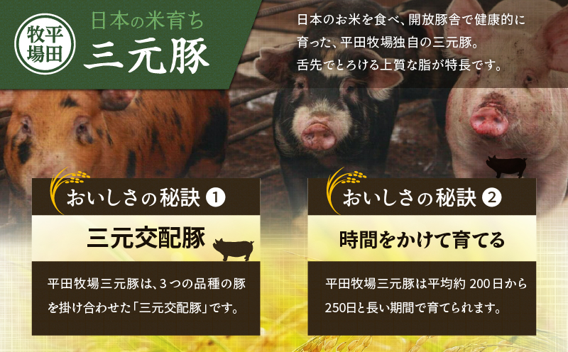 【全6回 毎月定期便】日本の米育ち平田牧場の満足セット！　T036-T05-02