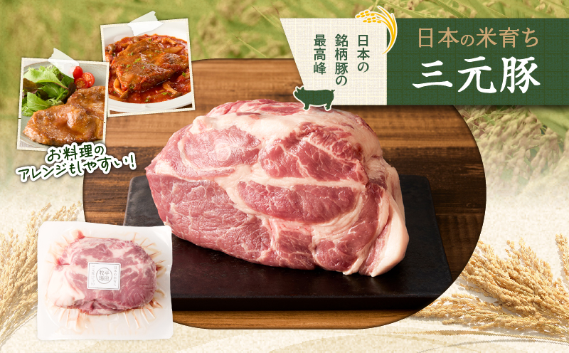 【全3回 毎月定期便】日本の米育ち平田牧場三元豚肩ロースブロック 1.2kg　T036-T11-01