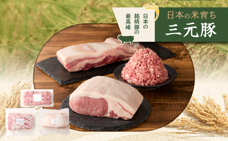 【全3回 毎月定期便】日本の米育ち平田牧場三元豚バラブロック 600g・豚ロースブロック 600g・豚挽肉 600g　T036-T15-01