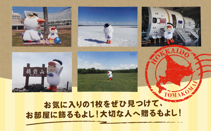 ポストカード 5枚セット　T042-019