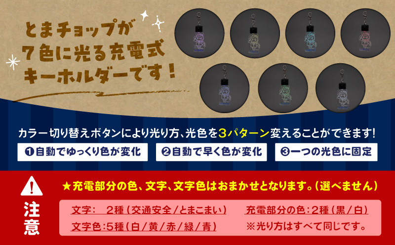 交通安全キーホルダー　T042-031