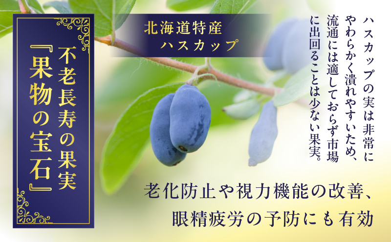 ホテルニュー王子ジャム ハスカップ 大瓶 230g　T048-004-03