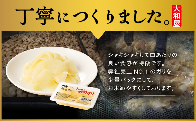 おいしい寿司ガリお徳用セット（12個入り）　T055-016