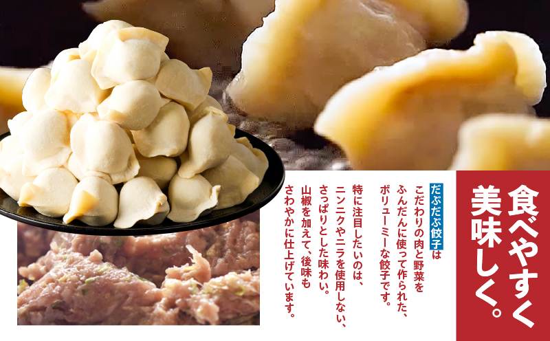 だぶだぶの肉汁をすすりたくなる餃子 100個　T060-002