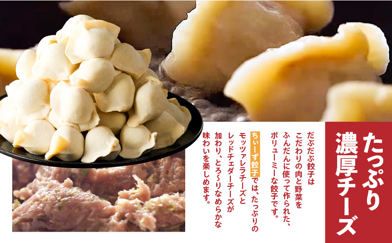 だぶだぶの肉汁をすすりたくなる餃子ちぃーず 100個　T060-004