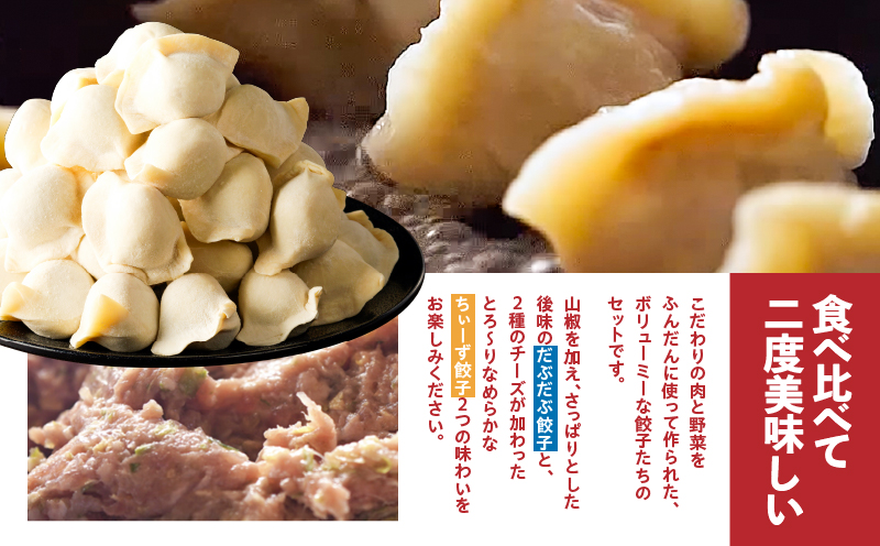 だぶだぶの肉汁をすすりたくなる餃子と餃子ちぃーずセット　T060-005