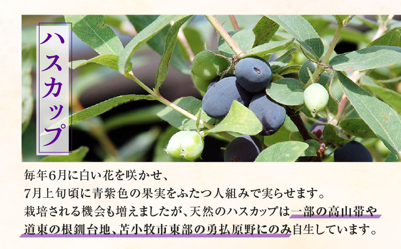 ニドムオリジナル　手作りハスカップジャム　T067-007