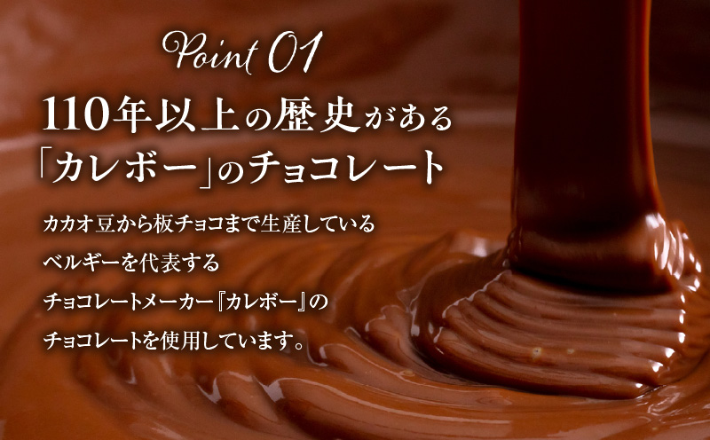 ホテルニドムのこだわりバスクショコラ　T067-009