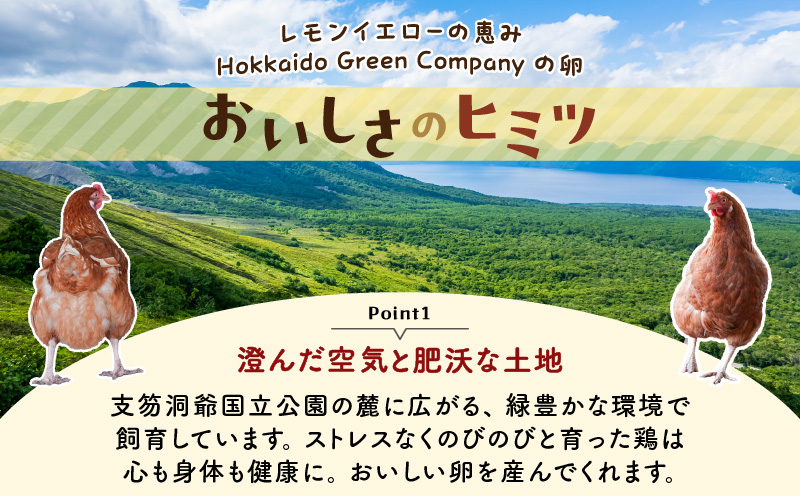 【全3回定期便】平飼いたまご（たまごトレー）　T074-T01-02