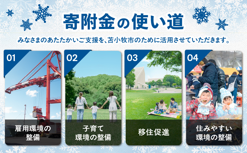 北海道苫小牧市応援寄附金（返礼品なし）10,000円　T000-001-03