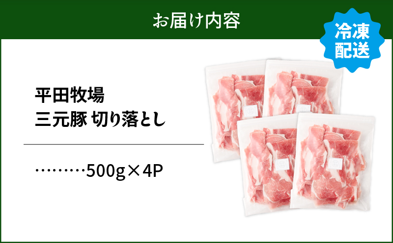 日本の米育ち平田牧場 三元豚切り落とし 500g×4パック（計2kg）　T036-005