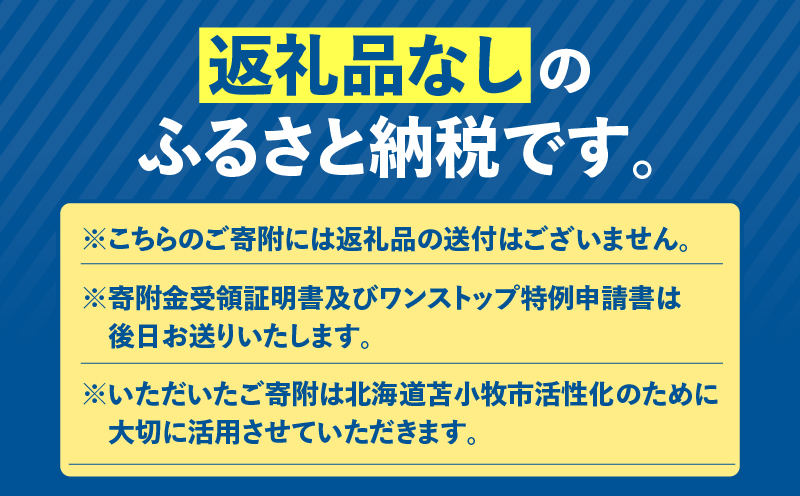 北海道苫小牧市応援寄附金（返礼品なし）1,000円　T000-001-01