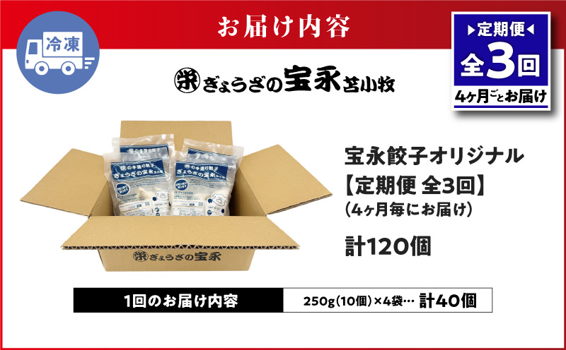 【全3回定期便（4ヶ月毎）】宝永餃子10個入セット（宝永餃子10個入×4袋）合計1.0kg　T004-T03-01