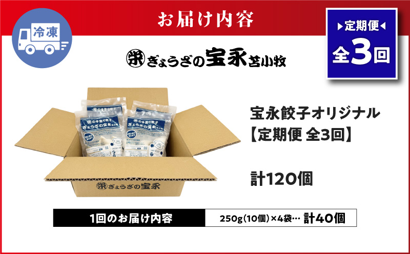 【全3回定期便（毎月）】宝永餃子10個入セット（宝永餃子10個入×4袋）合計1.0kg　T004-T03-02