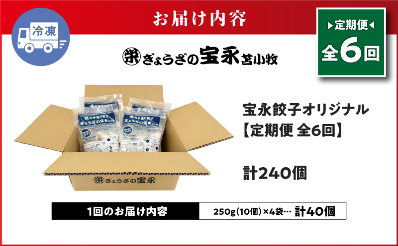 【全6回定期便（毎月）】宝永餃子10個入セット（宝永餃子10個入×4袋）合計1.0kg　T004-T03-04