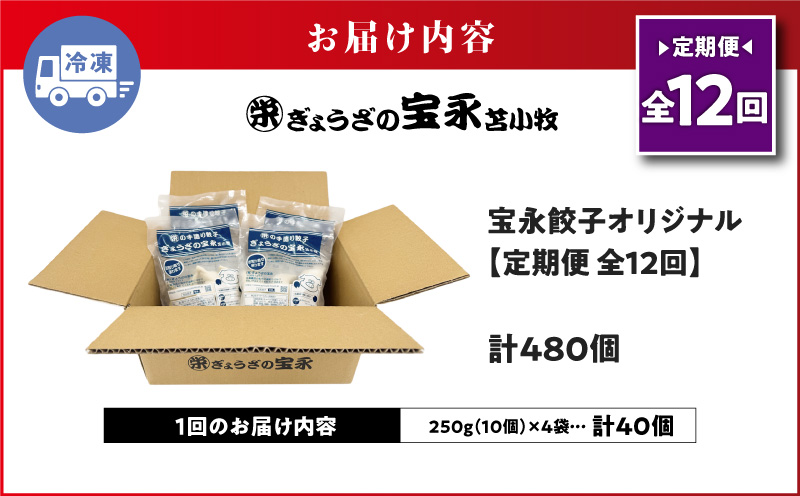 【全12回定期便（毎月）】宝永餃子10個入セット（宝永餃子10個入×4袋）合計1.0kg　T004-T03-05