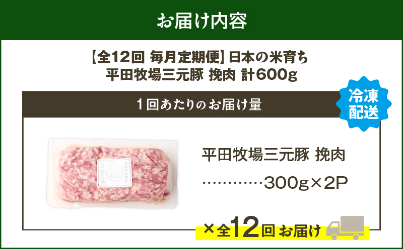 【全12回 毎月定期便】日本の米育ち平田牧場三元豚ひき肉 600g　T036-T12-03