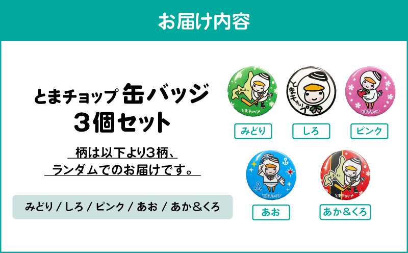 缶バッジ3個セット（柄おまかせ）　T042-011