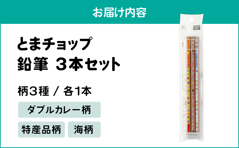 鉛筆3本セット　T042-030
