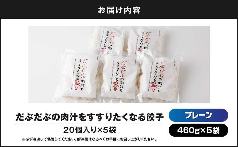 だぶだぶの肉汁をすすりたくなる餃子 100個　T060-002