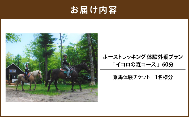 ホーストレッキング 体験外乗プラン 60分 「イコロの森コース」　T014-001