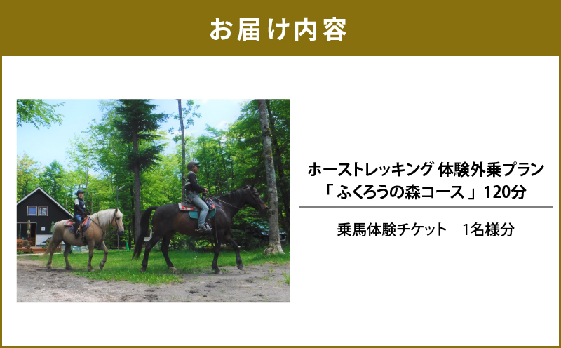 ホーストレッキング 体験外乗プラン 120分 「ふくろうの森コース」　T014-003