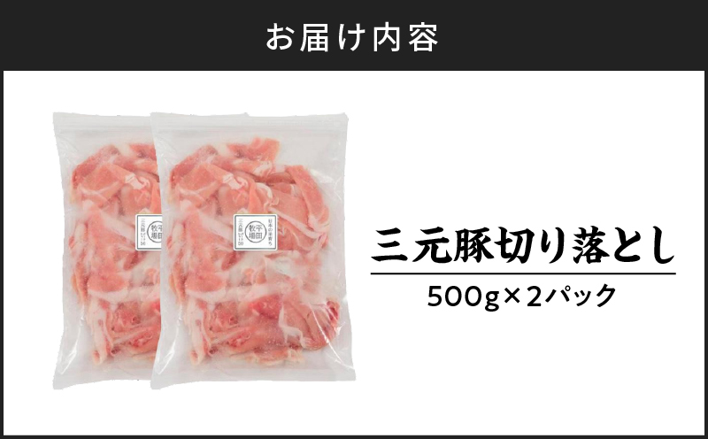 日本の米育ち平田牧場 三元豚切り落とし 500g×2パック（計1kg）　T036-004